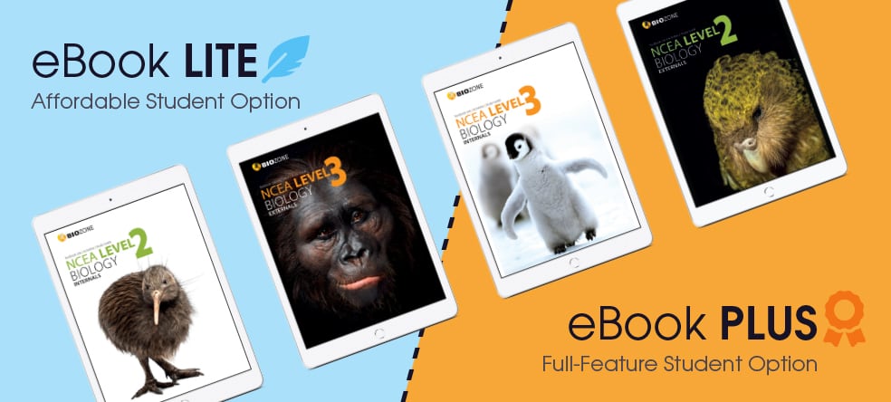 eBook lite and plus