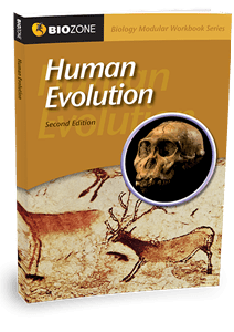 Picture of Human Evolution (2nd edition)