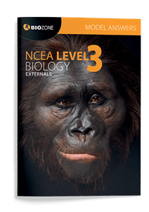 Picture of NCEA Level 3 Biology Externals