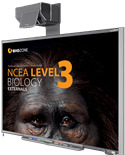 Picture of NCEA Level 3 Biology Externals (3rd Edition)
