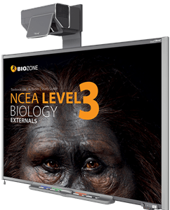 Picture of NCEA Level 3 Biology Externals (3rd Edition)